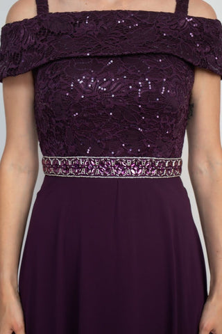 Emma Street Off-Shoulder Popover Embellished Zipper Back Lace Chiffon Dress