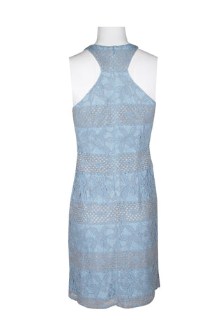 Adrianna Papell Crew Neck Racer Zipper Back Lace Dress_Blue Lilac_Back View