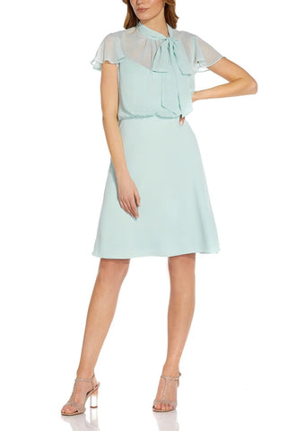 Adrianna Papell Tie Neck Illusion Sleeve Keyhole Back A-Line Crepe Chiffon Dress