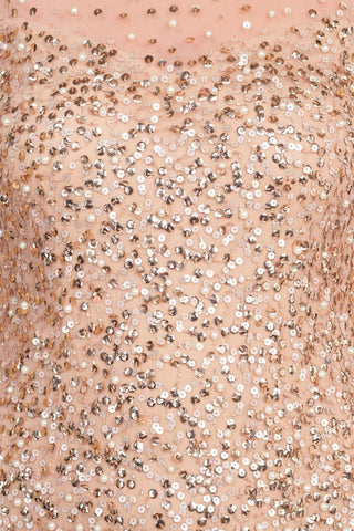 Adrianna Papell Illusion Crew Neck Sleeveless Beaded Sequined Bodycon Zipper Back Godet Mesh Dress