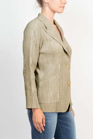 Flair Notched Collar Long Sleeve 2 Button Closure Solid Textured Jacket_sand_side View