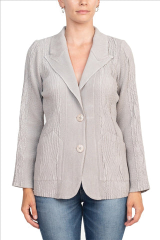 Flair Notched Collar Long Sleeve 2 Button Closure Solid Textured Jacket_silver_front View