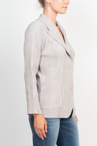 Flair Notched Collar Long Sleeve 2 Button Closure Solid Textured Jacket_silver_side View