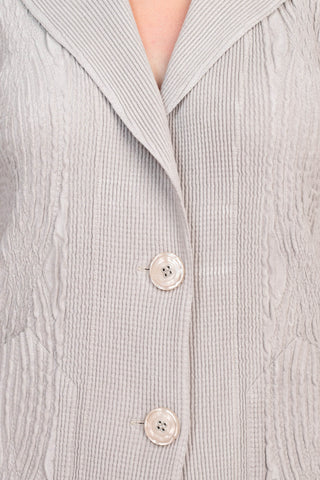Flair Notched Collar Long Sleeve 2 Button Closure Solid Textured Jacket_silver_detailed View