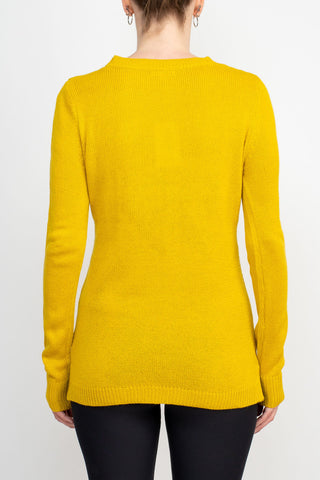Lissy Crew Neck Long Sleeve Solid Knit Top_topaz_back View