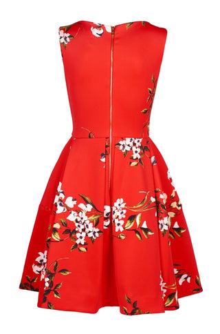 Taylor Boat Neck Sleeveless A-Line Box Pleate Zipper Back Floral Print Scuba Dress